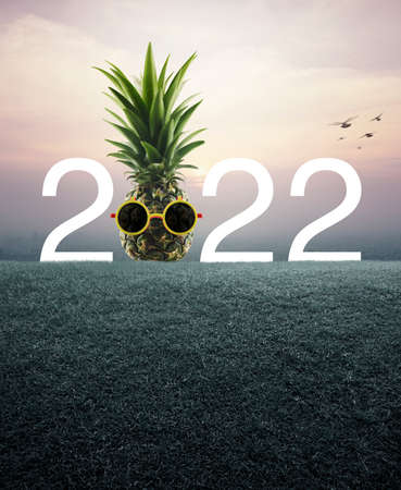 Pineapple with sunglasses and 2022 white text on green grass field over aerial view of cityscape at...