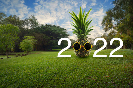 Pineapple with sunglasses and 2022 white text on green grass and trees in public park, Happy new year 2022 summer holiday conceptの写真素材