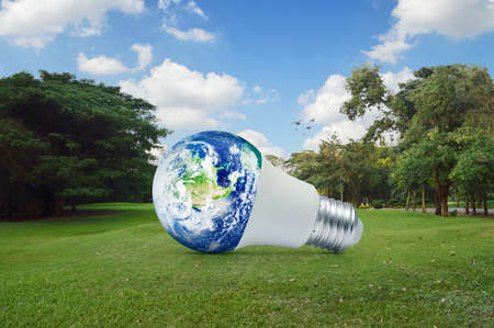 Earth globe inside led light bulb on green grass field in park, Ecology saving power and energy conceptの写真素材