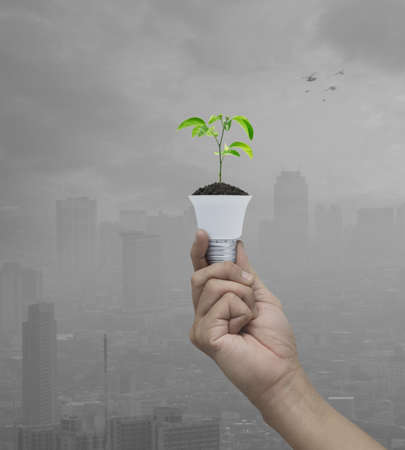 Hand holding fresh green tree leaves on soil with light bulb over pollution city tower with birds,...
