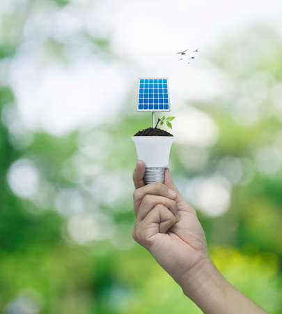 Hand holding solar cell and fresh green tree leaves on soil with light bulb over blur forest, Green...
