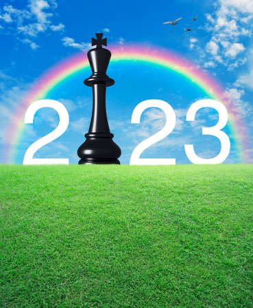 2023 white text with black chess king on green grass field over rainbow, birds and blue sky with...