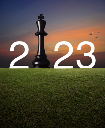 2023 white text with black chess king on green grass field over sunset sky with birds, Happy new...