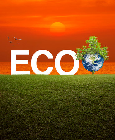 ECO acronym with earth and tree on green grass field over sunset sky and sea, Ecology saving power and energy concept, Save the earth concept, Elements of this image furnished by NASAの写真素材