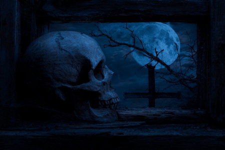 Human skull on old damaged wood window over cross, dead tree, full moon and spooky cloudy sky, Halloween mystery concept, Generative AIの素材