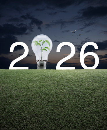 2026 white text and light bulb with small plant inside on green grass field over sunset sky with birds, Happy new year 2026 green ecology and saving energy conceptの写真素材