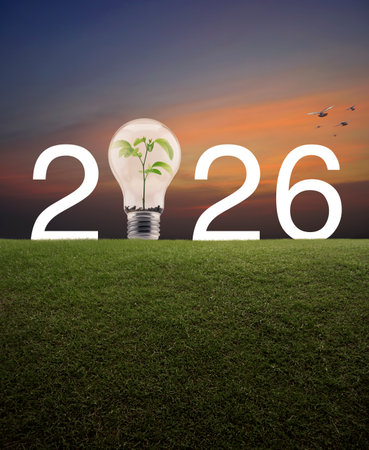 2026 white text and light bulb with small plant inside on green grass field over sunset sky, Happy new year 2026 green ecology and saving energy conceptの写真素材