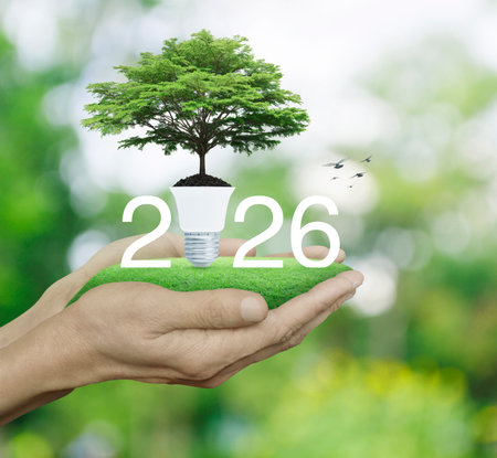 2026 white text with fresh green tree on soil and light bulb on green grass in hands over blur forest, Happy new year 2026 green ecology and saving energy conceptの写真素材
