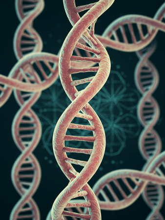 A detailed illustration of a DNA double helix structure, showcasing the intricate design and scientific concept.の写真素材