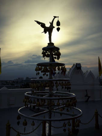 swan of goldenmoutian in thailandの写真素材