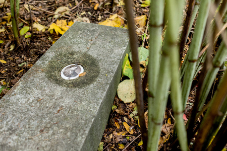 Bielsko-Biala city in Poland. Old abandoned Evangelical cemetery in Bielsko-BiaÅa city in south Poland. Founded in 1833.の写真素材