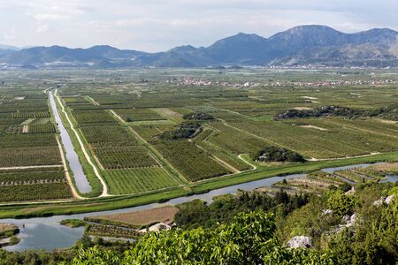 Neretva delta in Croatia, Europeの写真素材