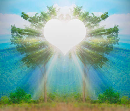 Think green love,care trees heart-lightの写真素材