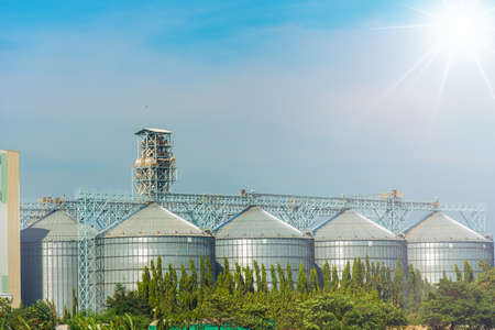 Plant industry with Tree,sky and Cloud with lightの写真素材