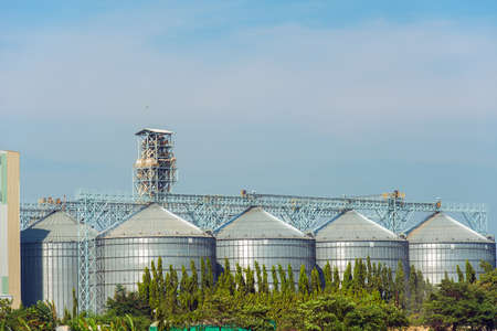 Plant industry with Tree,sky and Cloudの写真素材