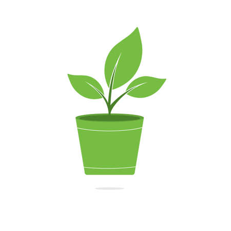 Flower pot and plant logo. Growth vector logo.のイラスト素材