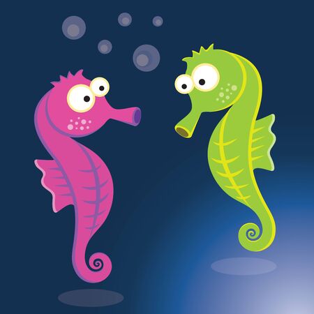 Seahorse. Vector illustration of colorful seahorse.のイラスト素材