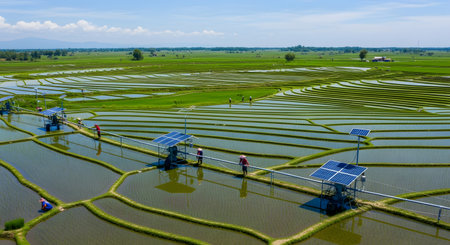 Serene rice terraces stretch across fertile land with innovative solar powered water pumps providing irrigation. Rural farming community in Southeast Asia combines tradition with sustainable technology for agriculture. AI Generative AI generatedの素材