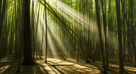 Sunlight filtering beautifully through bamboo forest. The scene is serene and tranquil with vibrant green bamboo stalks and lush forest setting natural wonder. Bamboo grove. AI Generative AI generatedの素材