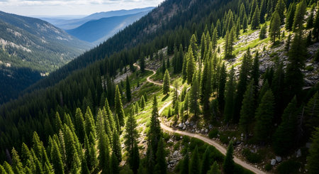 Aerial view road winding through green forest landscape. Pathway through forest in mountain area. Outdoor adventure, nature travel journey. Scenic summer view. AI Generative AI generatedの素材