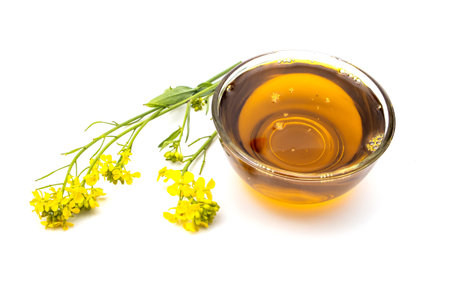 Mustard oil bowl with yellow mustard flowerの写真素材