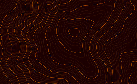 Background of the topographic map. Topo map with elevation. Geographic line mountain relief. Vector stock illustrationのイラスト素材