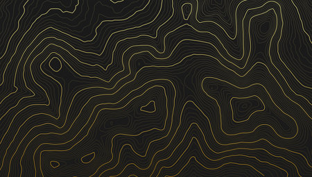 Background of the topographic map. Topo map with elevation. Geographic line mountain relief. Vector stock illustrationのイラスト素材