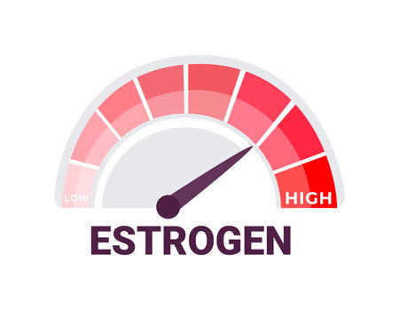 Estrogen Level Measurement Concept with Low to High Indicator Gauge Vector Illustrationのイラスト素材