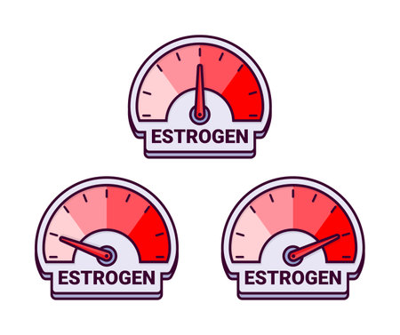 Estrogen Hormone Level Meters Vector Illustration with Color Gradient for Women s Health Monitoringのイラスト素材