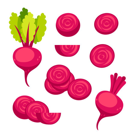 Beetroots set. Fresh red beetroot slices and leaves on white backgroundのイラスト素材