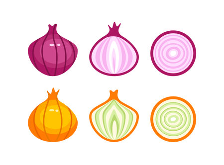 Red and Yellow Onions, Whole, Halved and Slicedのイラスト素材