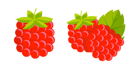 Two juicy raspberries symbolize the taste of summer and healthy lifestyleのイラスト素材