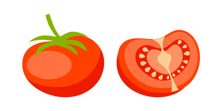 Fresh red tomato and a half of tomato showing seeds and pulpのイラスト素材
