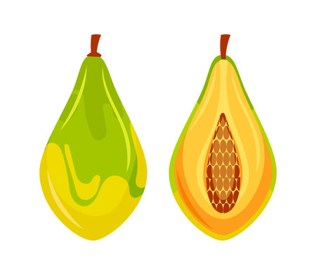 Whole and halved papaya showing its seeds and pulpのイラスト素材