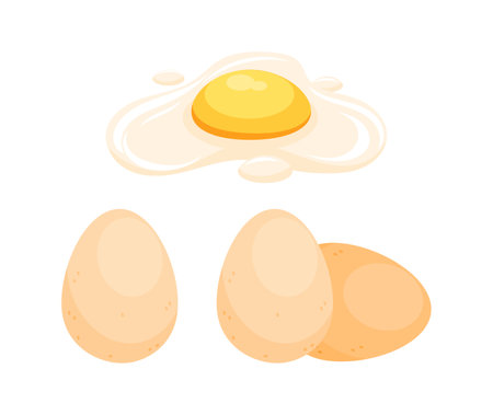 Fried egg and three whole eggs representing breakfast ingredientsのイラスト素材