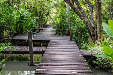 the walkway in the gardenの写真素材