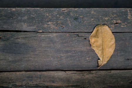 wood background and textureの写真素材