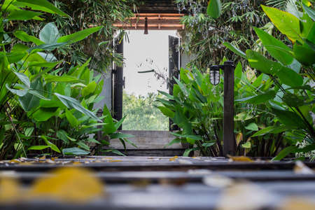 the walkway in the gardenの写真素材