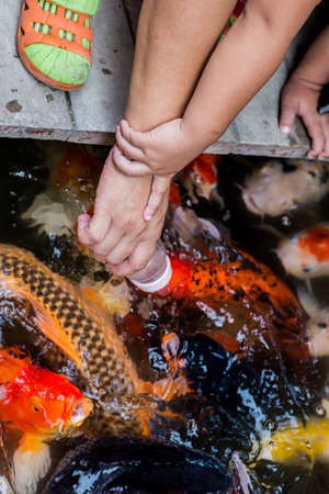 Mother and Son are feeding some fishesの写真素材