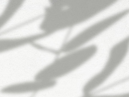 Blurry realistic natural organic shadow of leaf