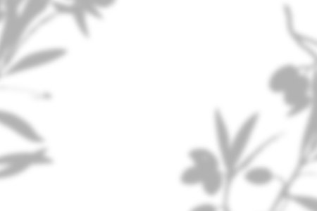 leaf shadow overlay effect. white background with tropical leaves shadows