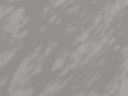 Abstract background cement wall organic shadow light concept backdrop. 3d rendering.