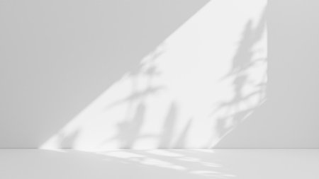 Abstract white studio background for product presentation. Empty room with shadows of window. Display product with blurred backdrop.の写真素材