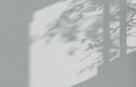 Cement studio room background with branch shadows on the wall. Mockup for branding products,...