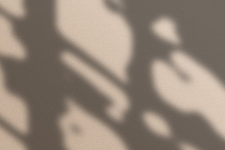 Abstract tree branch shadow cast on the wall.の写真素材