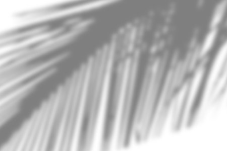 A shadow overlay with soft abstract shadows cast across a textured surface, ideal for enhancing the...