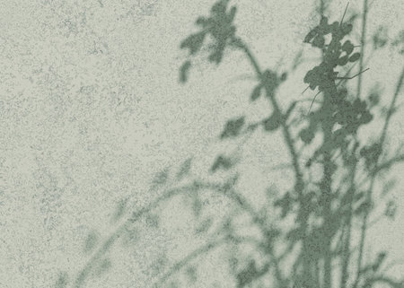 Greenish cement background with delicate floral branch shadows for a calming effect.