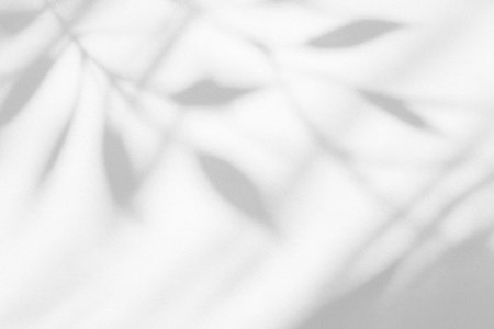 Shadowy leaves casting natural and soft patterns on a blank background.