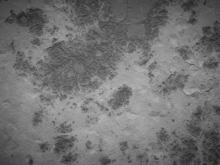 Cement texture with smooth surface and light surface stains for a worn-down aesthetic.の写真素材