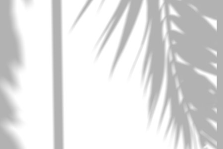 Overlapping palm shadows with vertical window light pattern